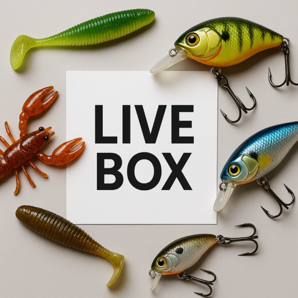 ChatGPT Image 6 juil. 2025 à 18_09_07 PACK ROCKVIBE